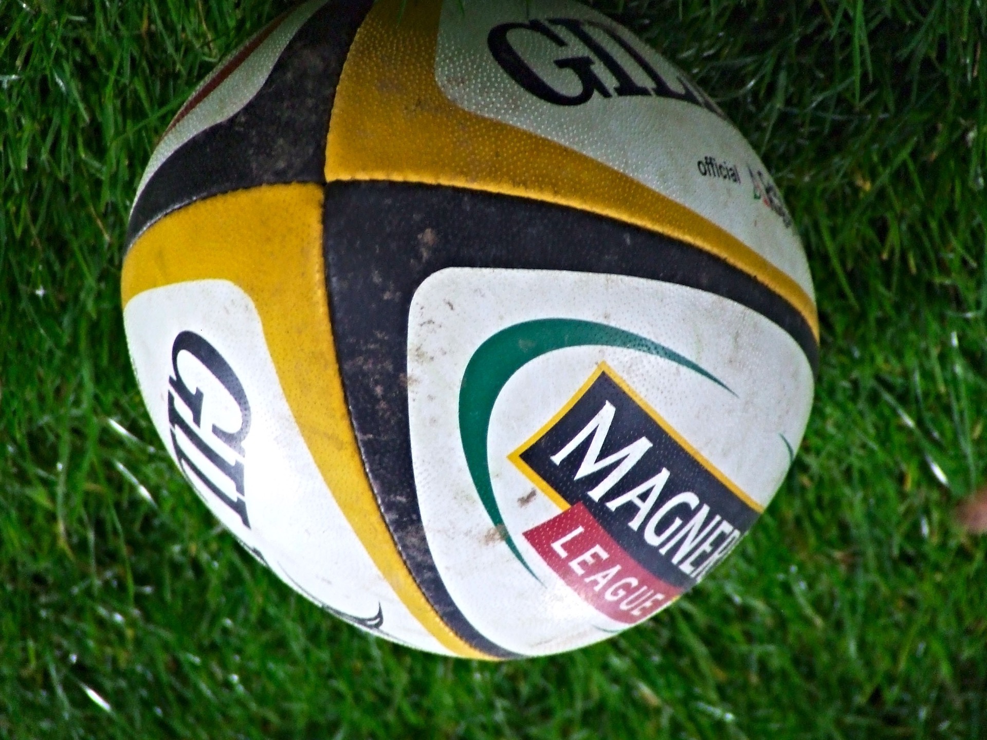 Ballon sur pelouse