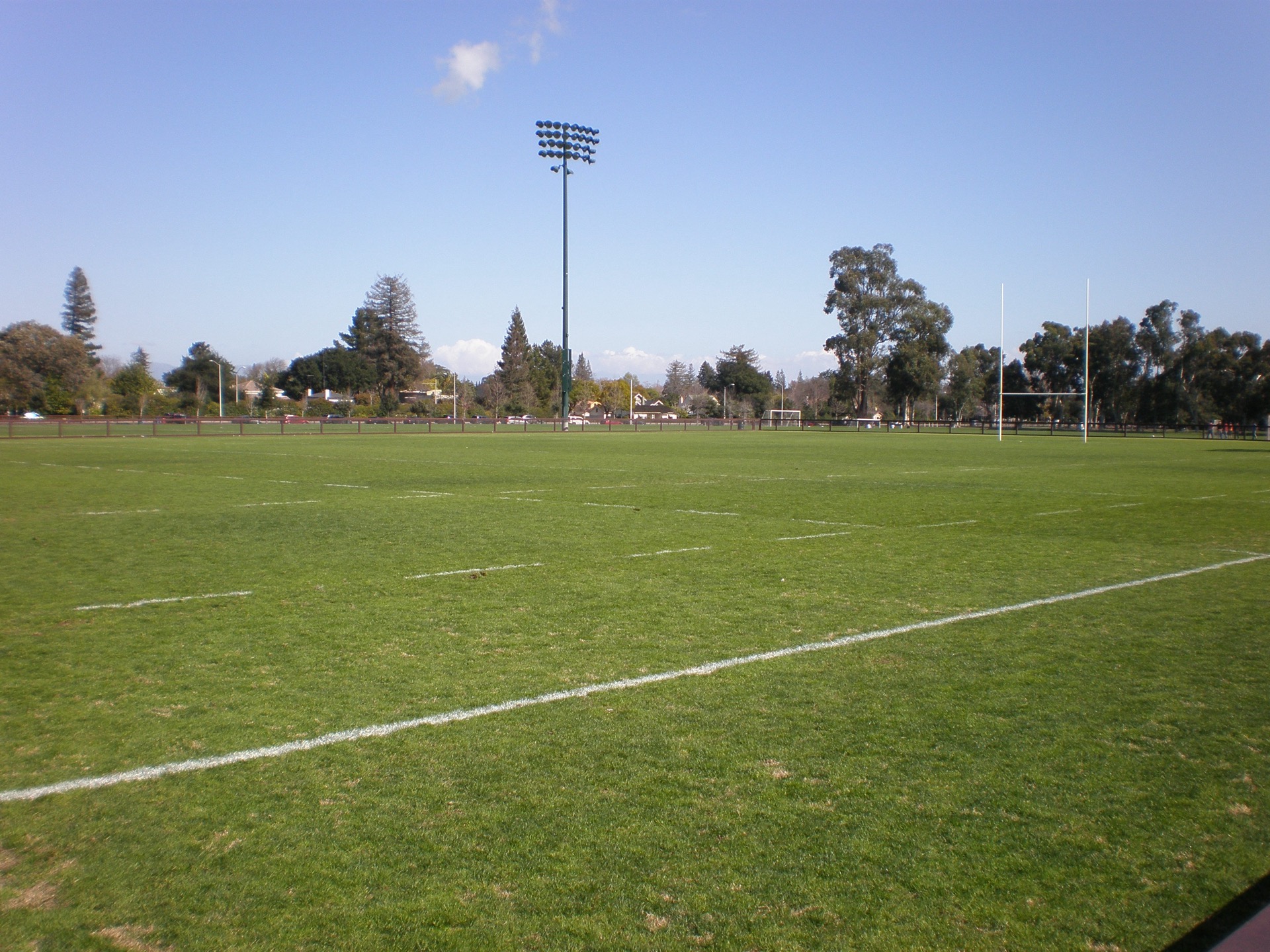 Terrain de rugby